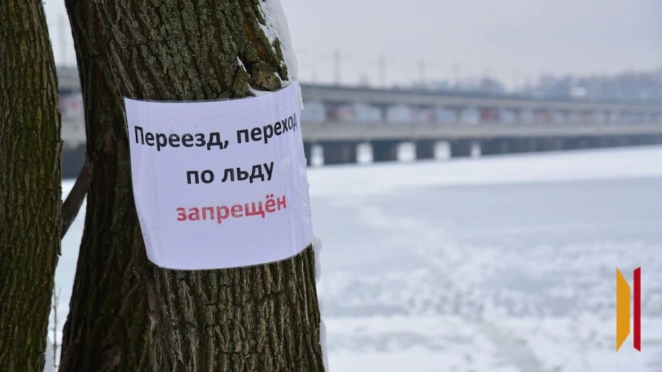    Автор фото: Михаил Кирьянов (из архива)