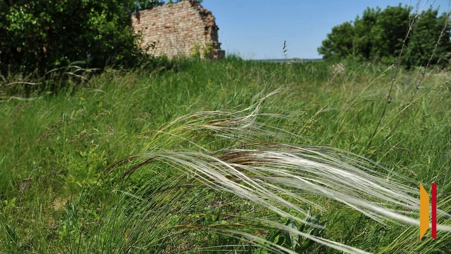    Автор фото: из архива РИА «Воронеж»
