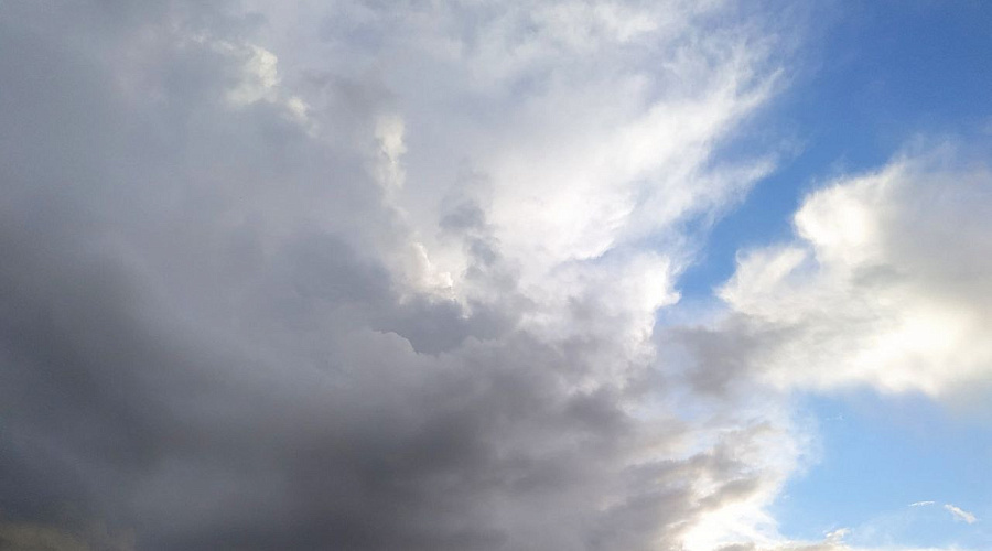    Фото: Юлия Армасарь.