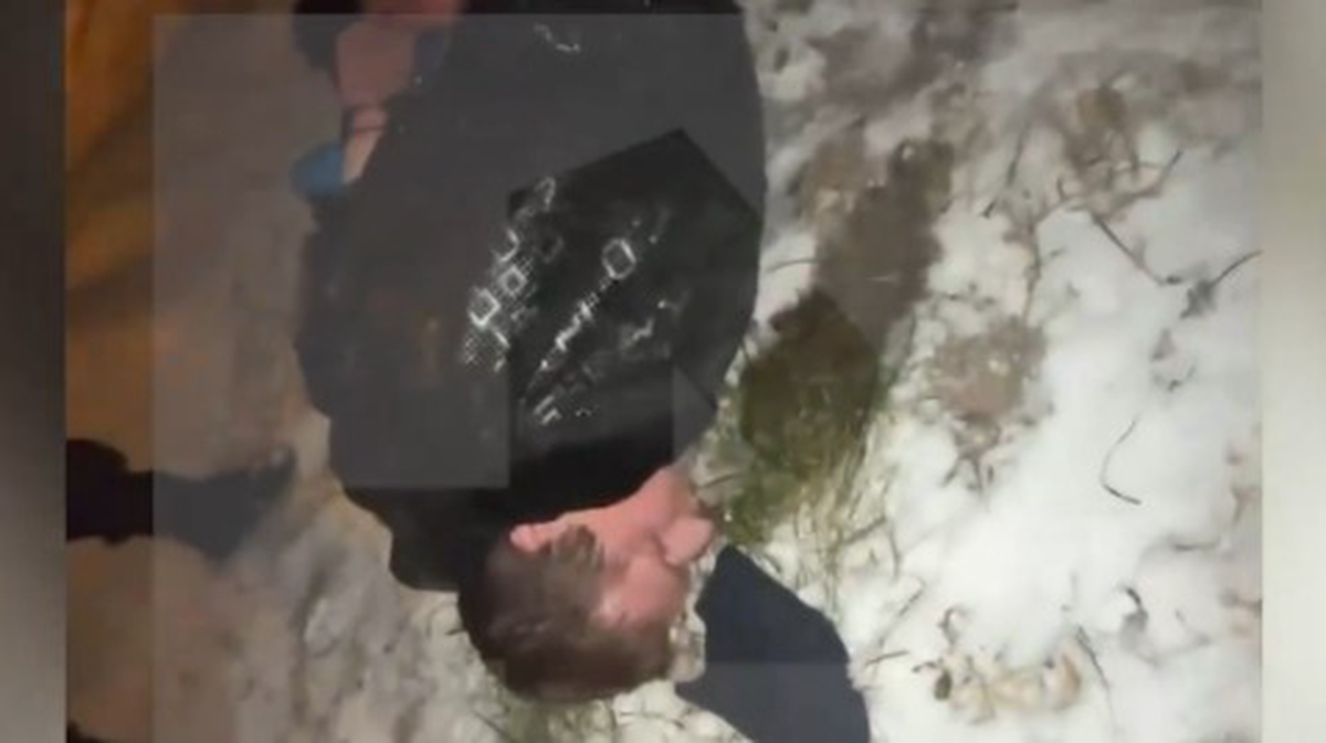    Фото: Скриншот видео / РЕН ТВ|Новости / Telegram