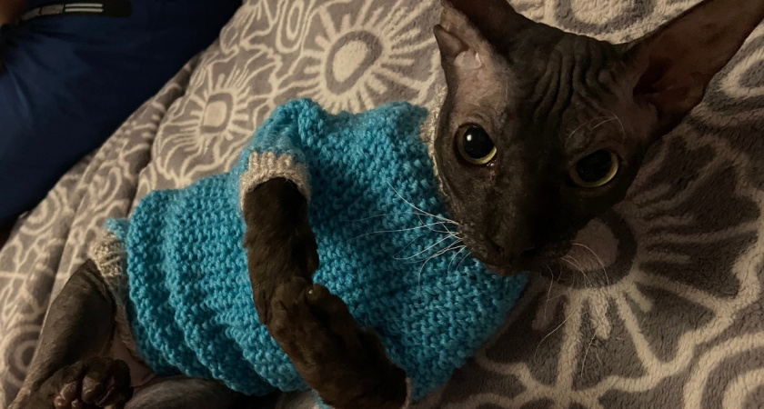    фото из архива редакции