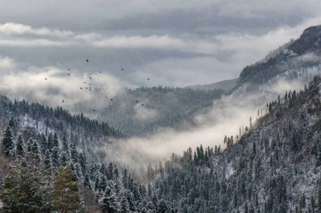    Фото: t.me/kavkazzapoved