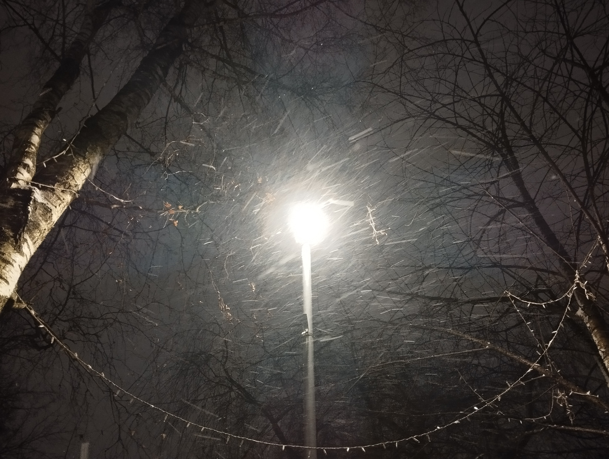 Снег идёт. Фото автора.