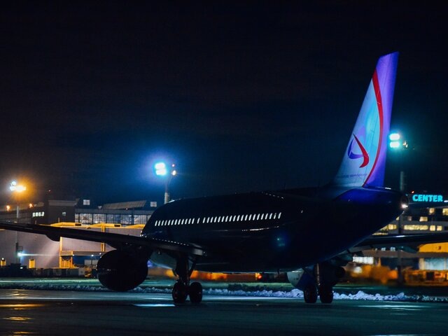    Фото: Москва 24/Никита Симонов