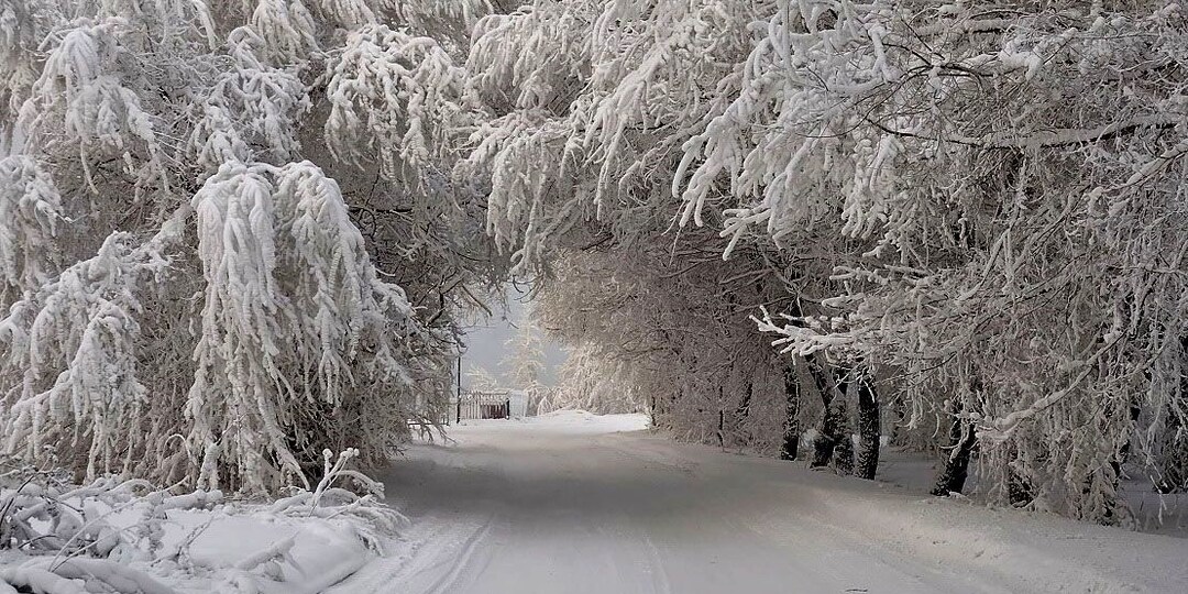 Луна в Рыбах: День внутренней навигации