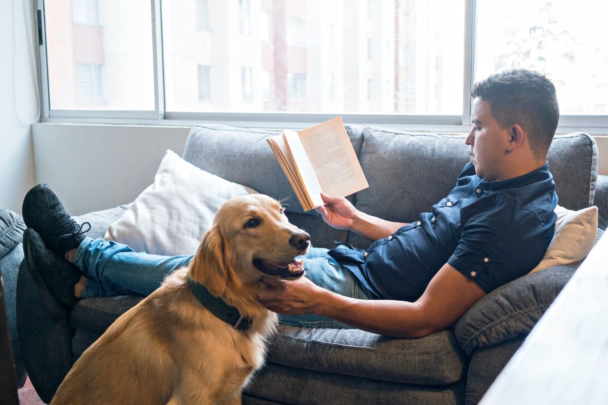 Хозяин читает книгу, рядом собака