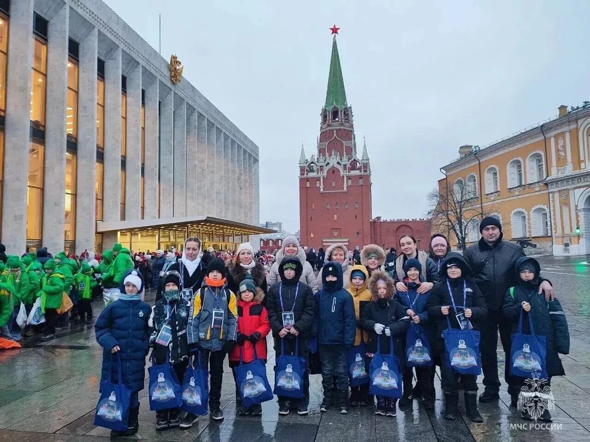    Фото: МЧС России