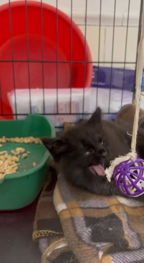 Оказывается, люди бывают добрыми