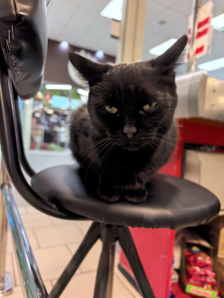 "Ну и правила" Фото из архива автора