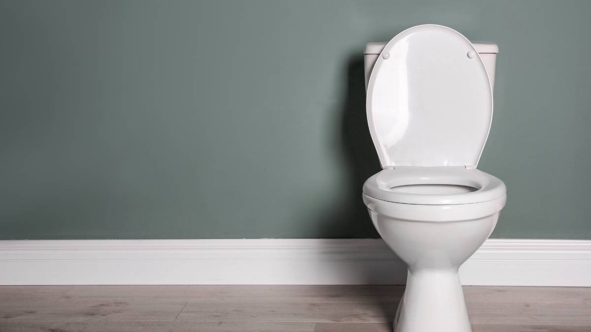    Фото: shutterstock