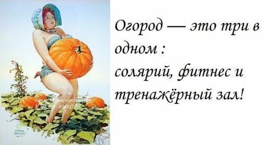 Дача - это бюджетно, прибыльно-рентабельно!