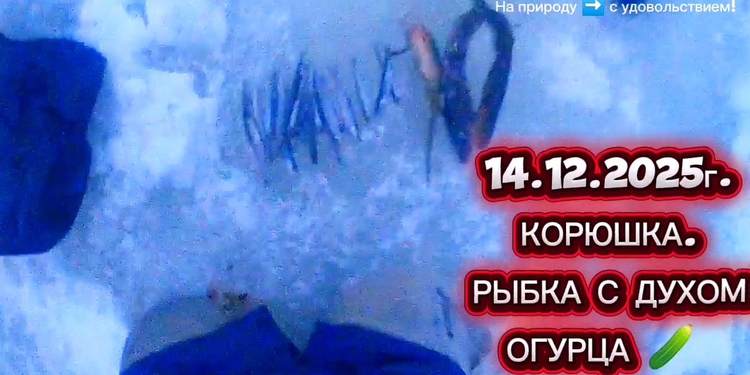 КОРЮШКА. ЛОВЛЯ КОРЮШКИ. 14.12.2025. ХОРОШИЙ УЛОВ!