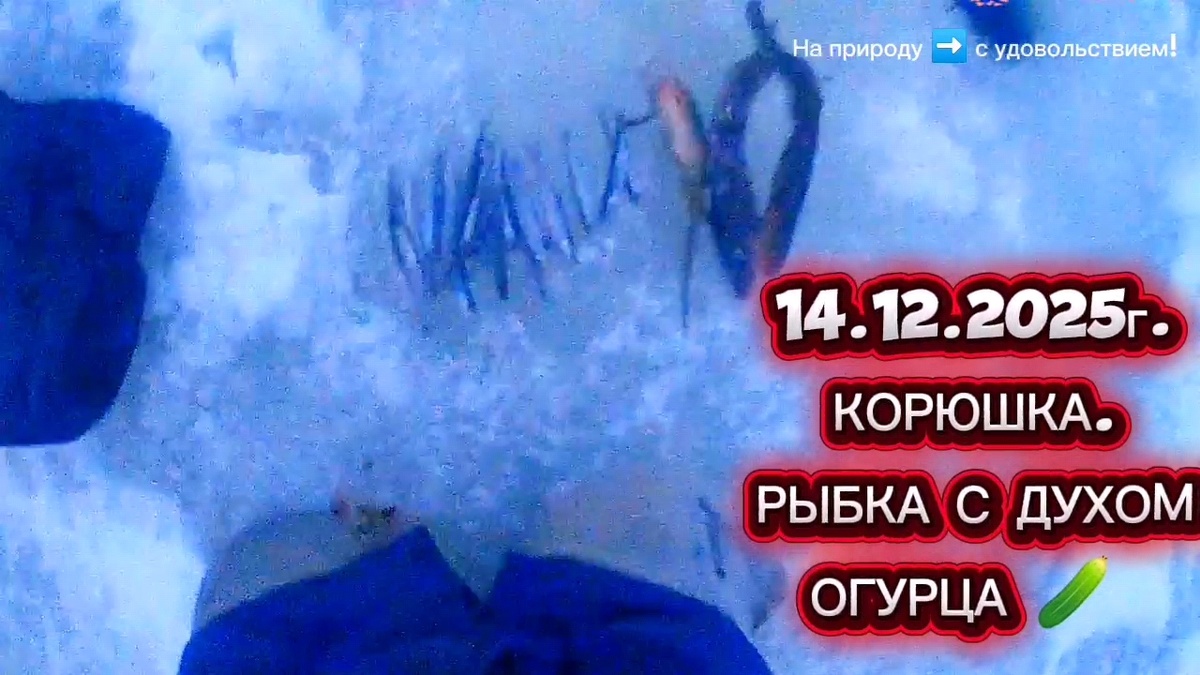 КОРЮШКА. 14.12.2025Г. РЫБКА КЛЕВАЛА ХОРОШО!