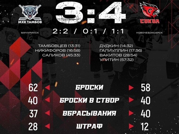     Иллюстрация: ХК "Сокол"