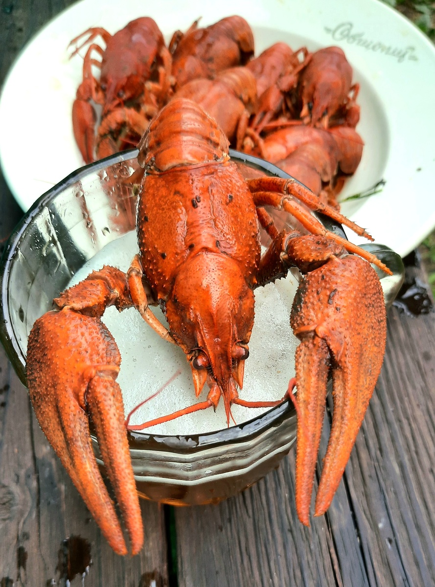 Фото автора. И чо? 