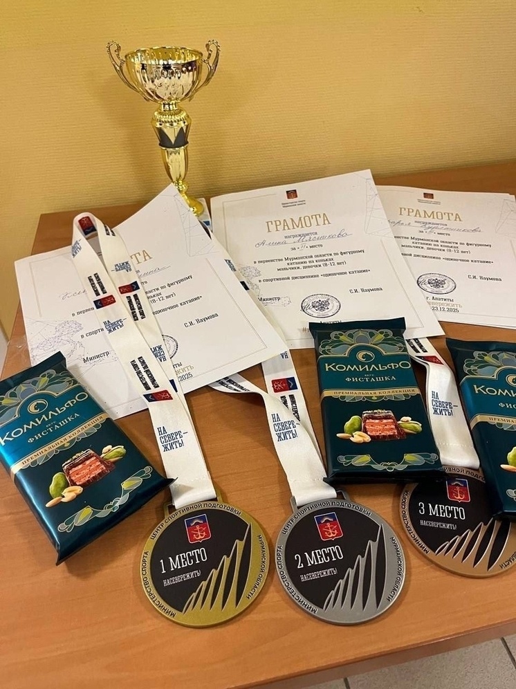     фото: пресс-служба министерства спорта Мурманской области.