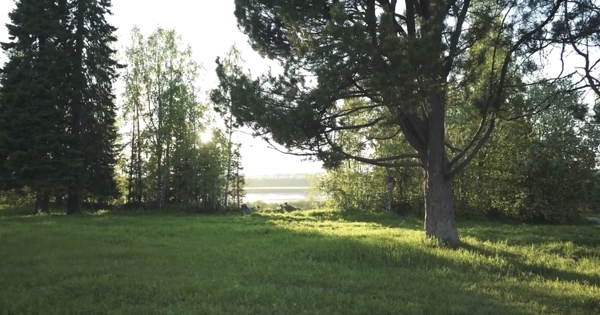 Аналитическая статья с оценкой риска вложения в облигацию и эмитента.                         *краткая версия RM Иван Хельм.