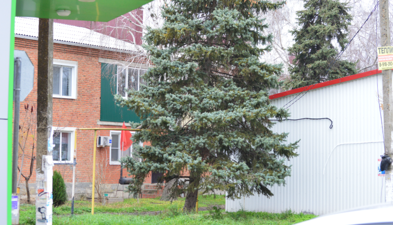 Фото автора. Декабрь 2025. Станица в ожидании зимней погоды.