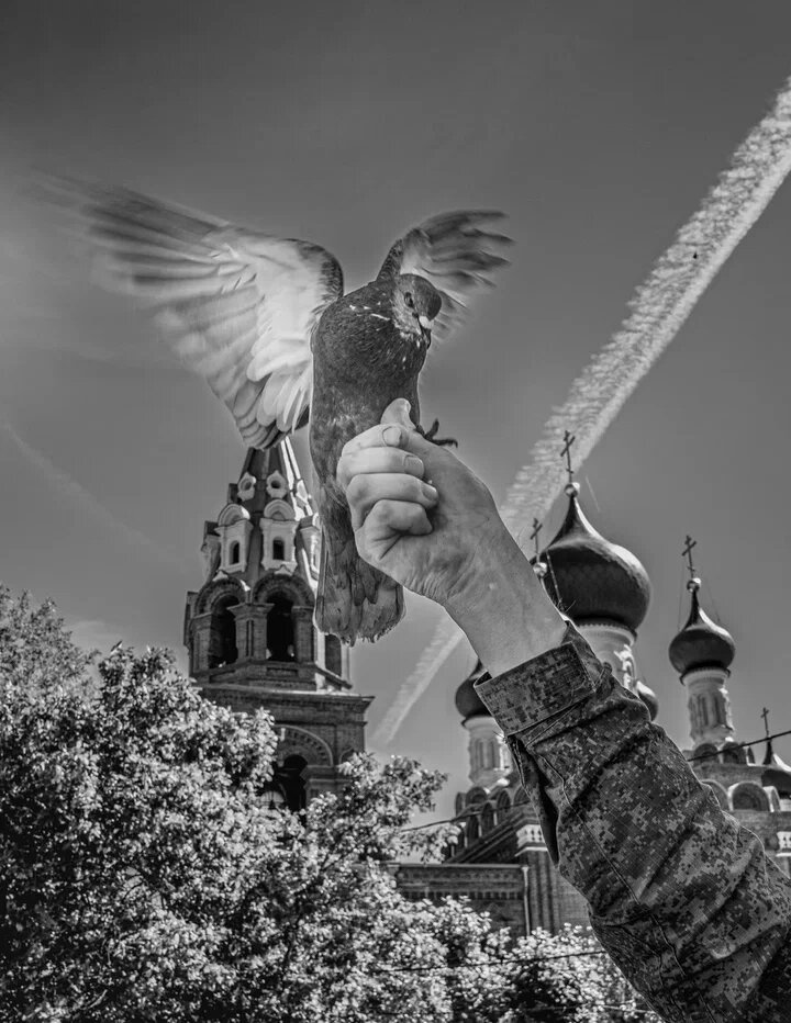 Пижон.  20.06.20