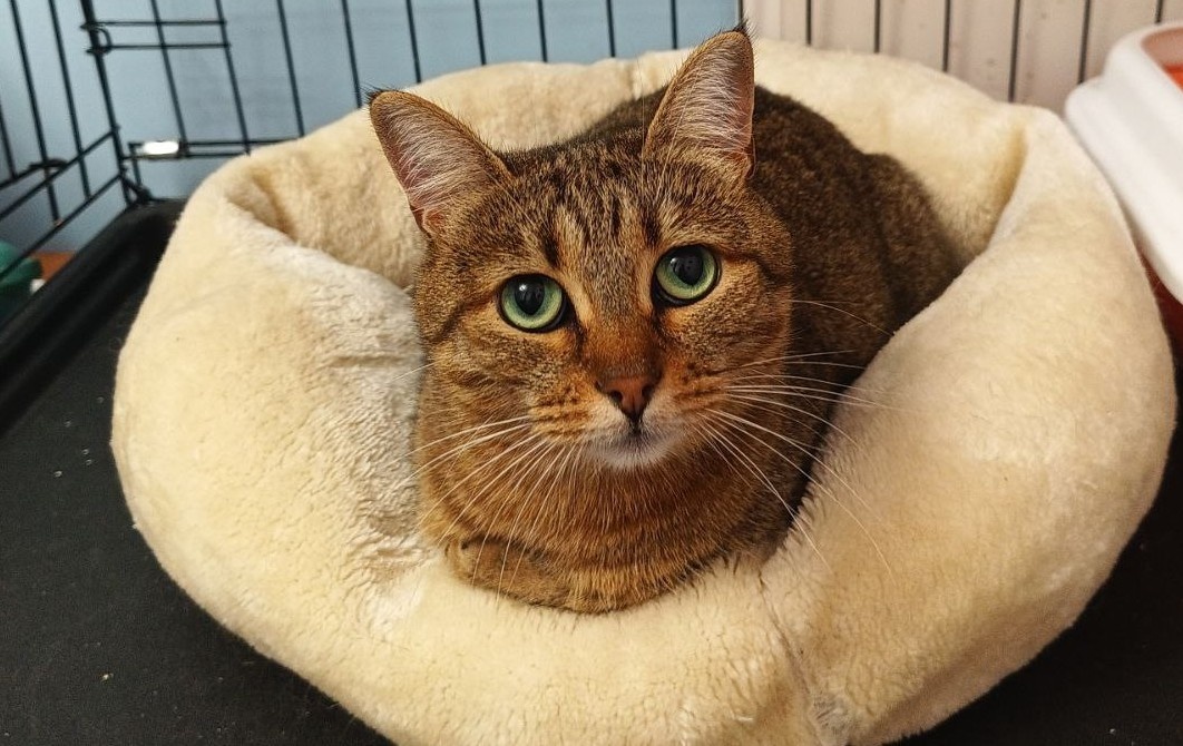 Фото из прошлой жизни у Маши