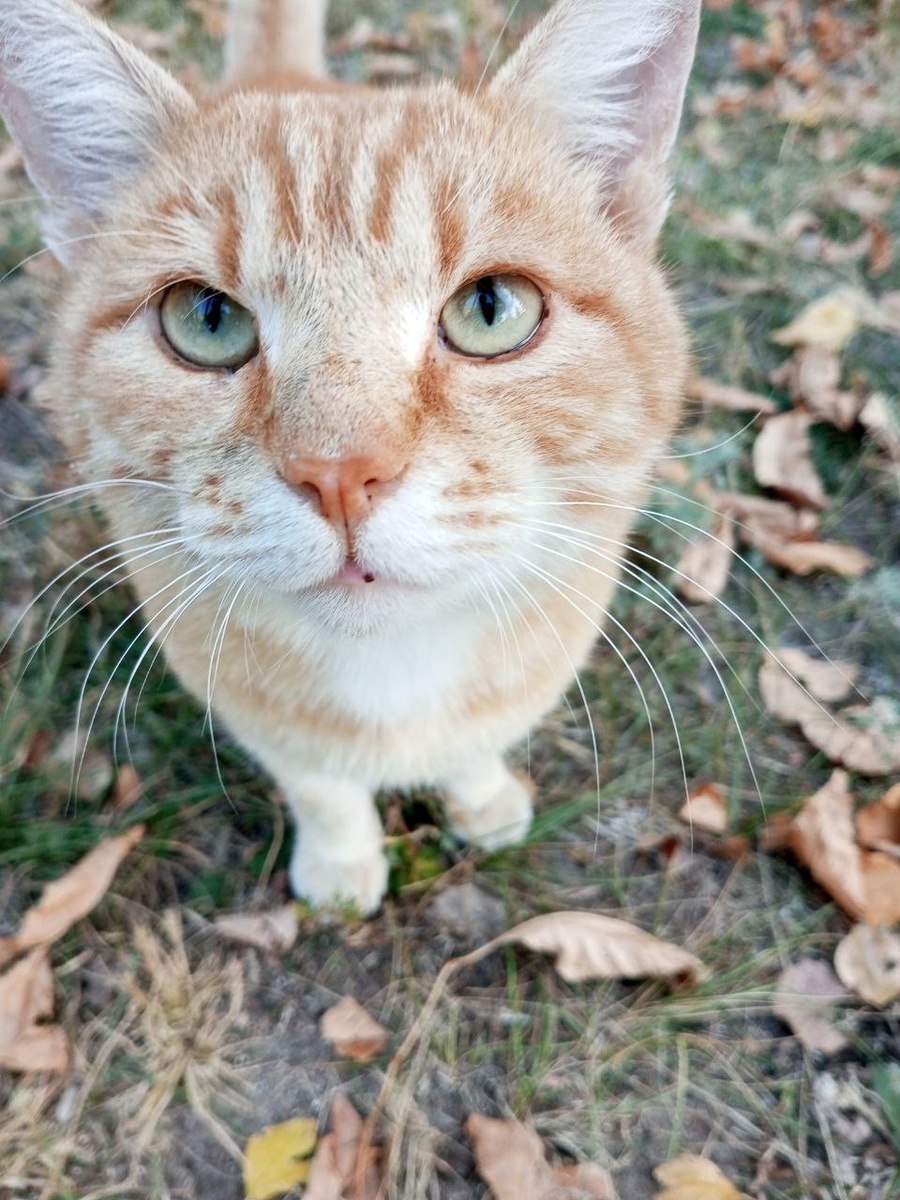 Лучик пришёл подкрепиться)