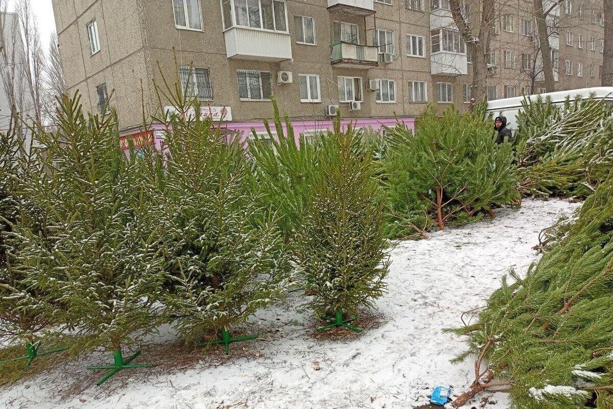 Фотка из "антернетов"