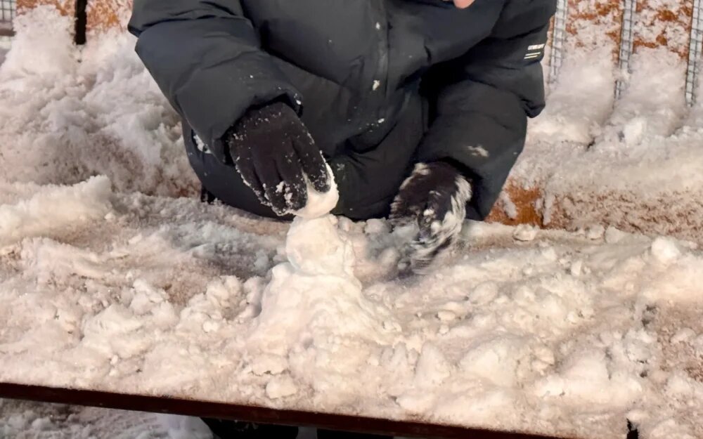    Фото: "Брянские новости"