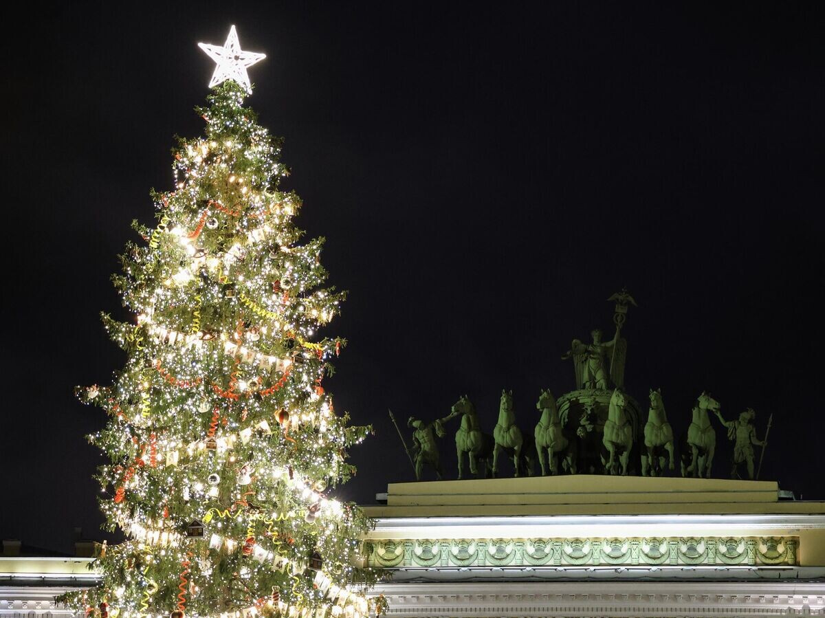    Торжественное зажжение огней на главной елке в Санкт-Петербурге | © РИА Новости / Артем Пряхин