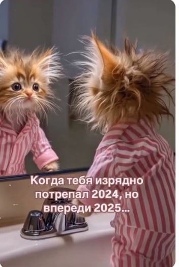 такими мы встречали 2025 год)). Картинка из просторов необъятной сети.