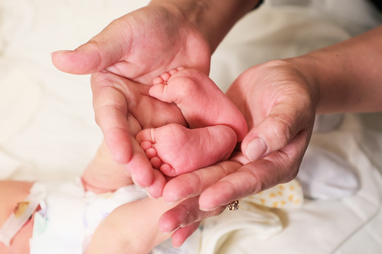    Сергей Петров/NEWS.ru