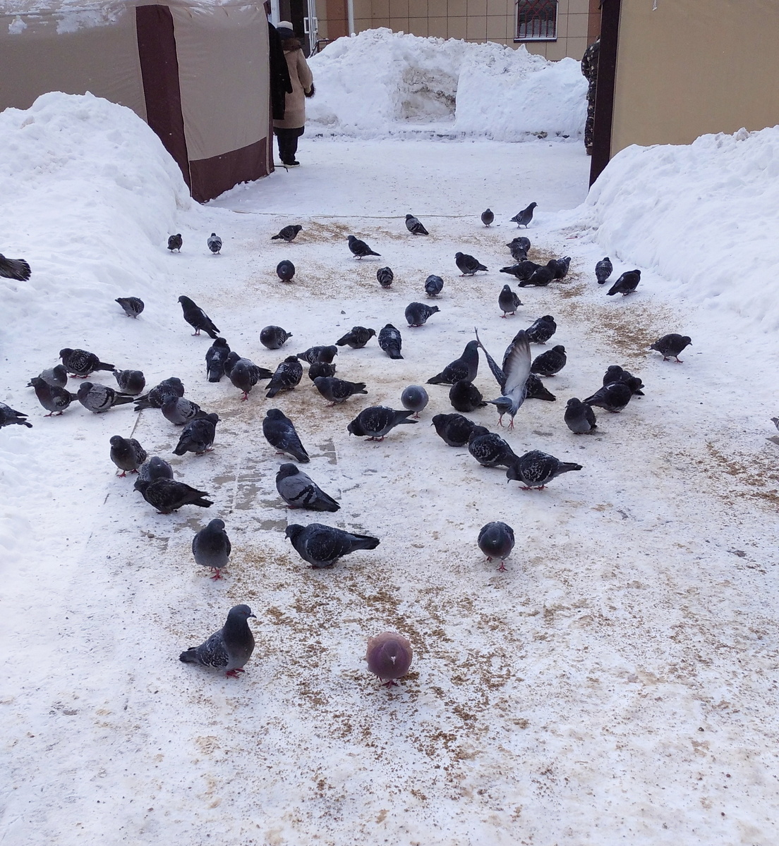 личное фото