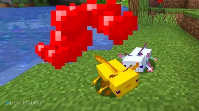    Сердечки над аксолотлями