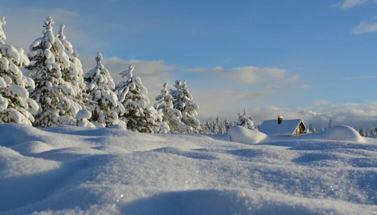    Что такое наст и каким он бывает? Фото: Bob Canning on Unsplash