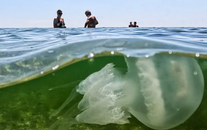 Почему Азовское море — самое опасное в мире