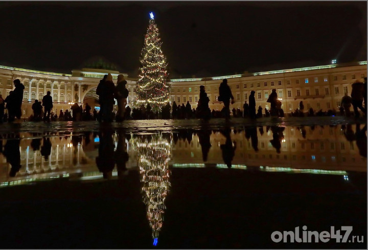 В Петербурге для главной ели на Дворцовой площади установили дополнительную страховочную систему
