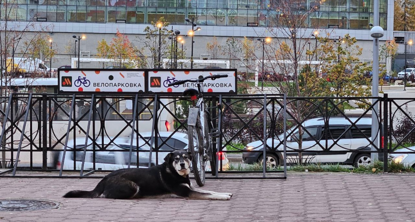    Фото из архива "Про Города"