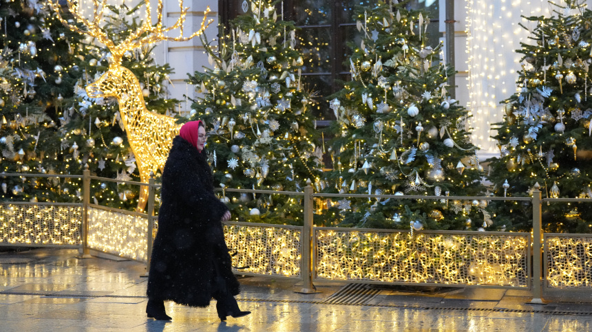    Фото: ИЗВЕСТИЯ/Дмитрий Коротаев