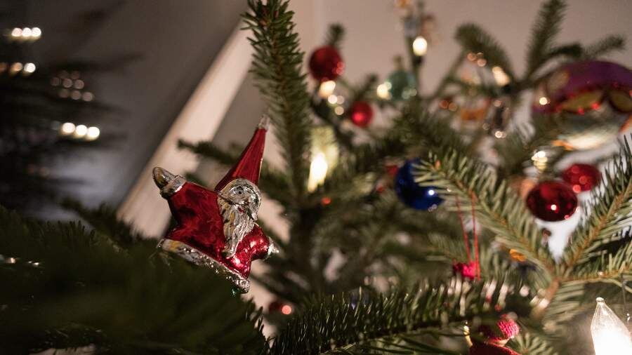    Фото: Global Look Press/Hannes P Albert