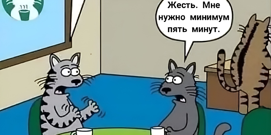 25 смешных карикатур: как приучить кошку к прогулкам