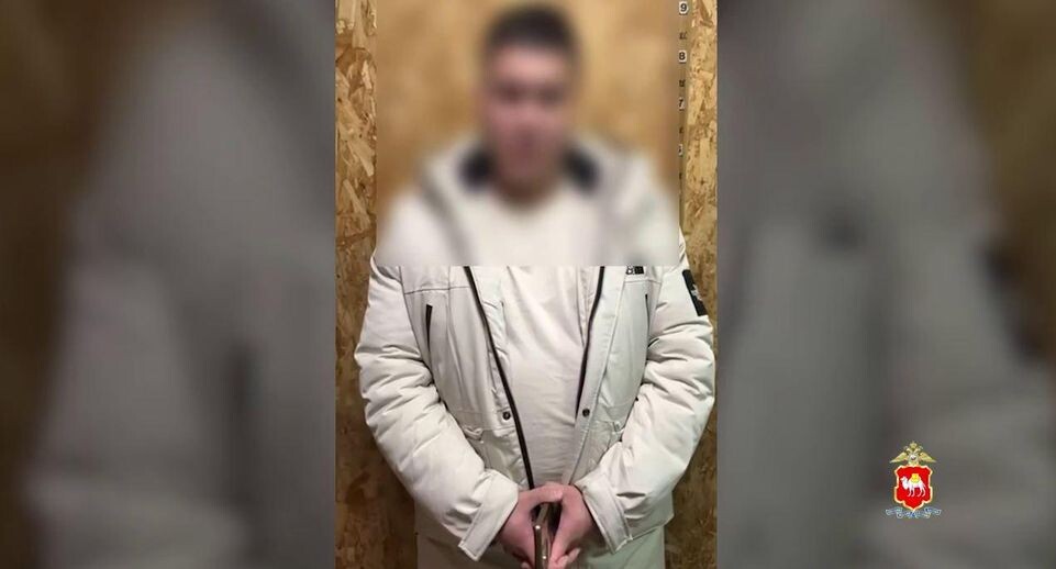    ГУ МВД России по Челябинской области / Telegram