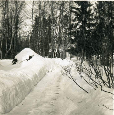 Мураново. Дорожка в парк, 1880-е – 1910-е гг.