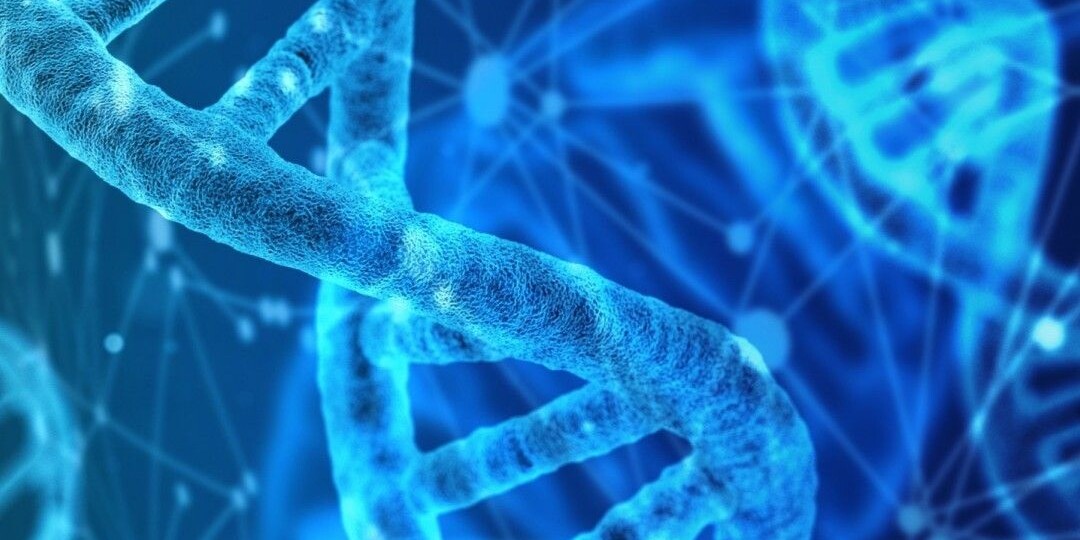 Энергия по материнской линии: тайна клеточных батареек, которые мы наследуем только от мамы