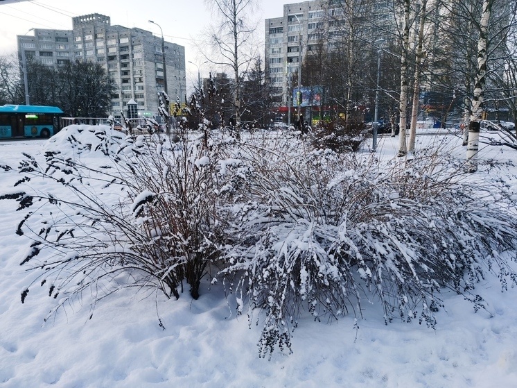     Фото архив ИА «Регион 29»