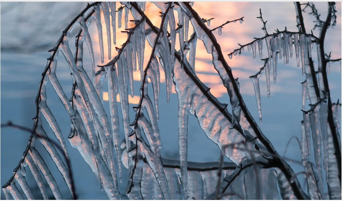 Изображение из открытых источников