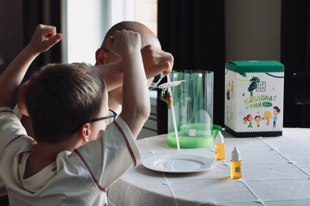 Папа и сын исследуют наблюдают за куколками бабочек