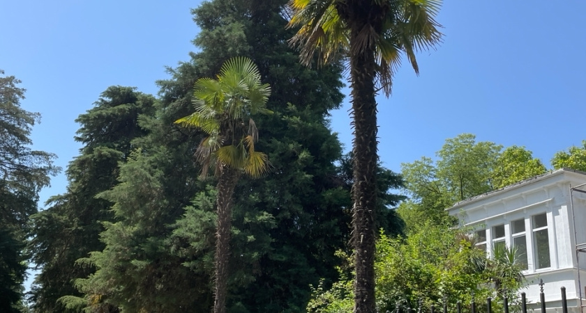 Экскурсия на абхазское застолье: "Зачем я это сделала?" — отзыв туристки об Абхазии