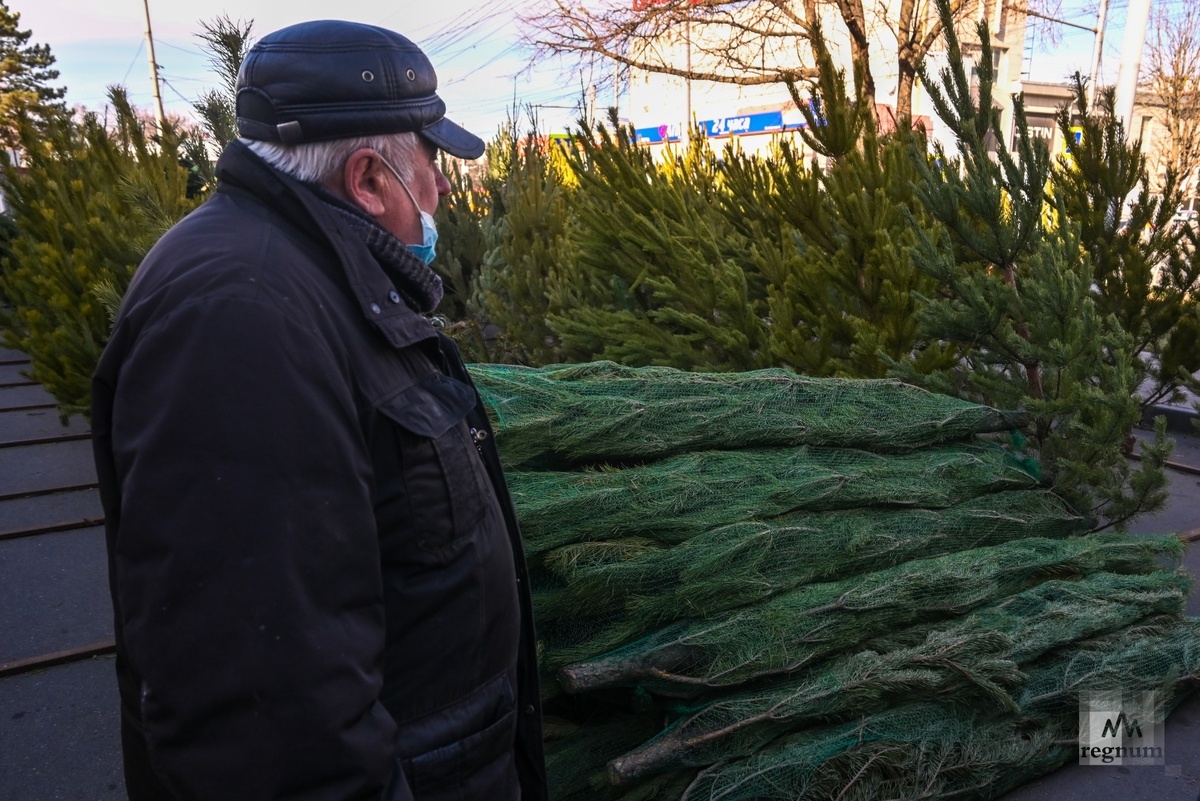    Покупатель выбирает себе елку / Источник: Александр Погожев © ИА REGNUM