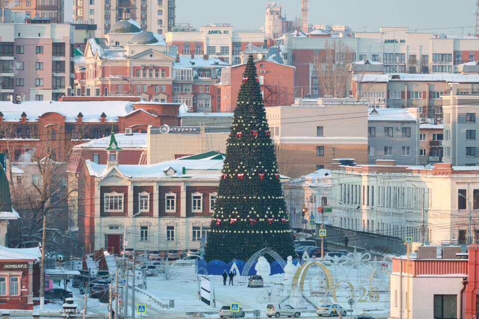    Главная ёлка города на площади Свободы. Вид с территории Нагорного парка. Источник: Олег Укладов