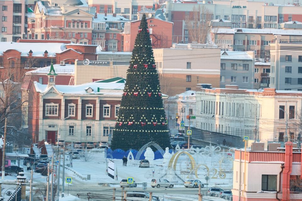    Главная ёлка города на площади Свободы. Вид с территории Нагорного парка. Источник: Олег Укладов