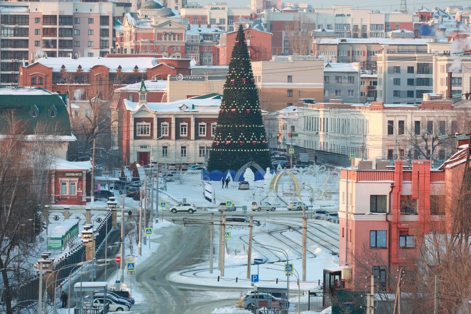    Главная ёлка города на площади Свободы. Вид с территории Нагорного парка. Источник: Олег Укладов
